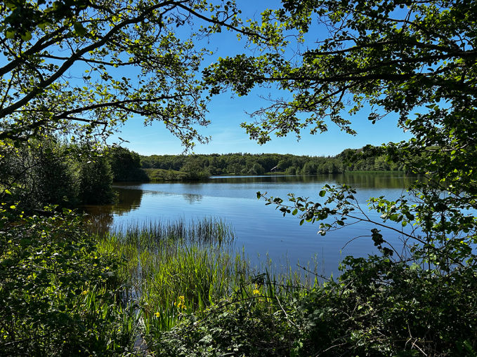Natuurgebied Wyldemerk